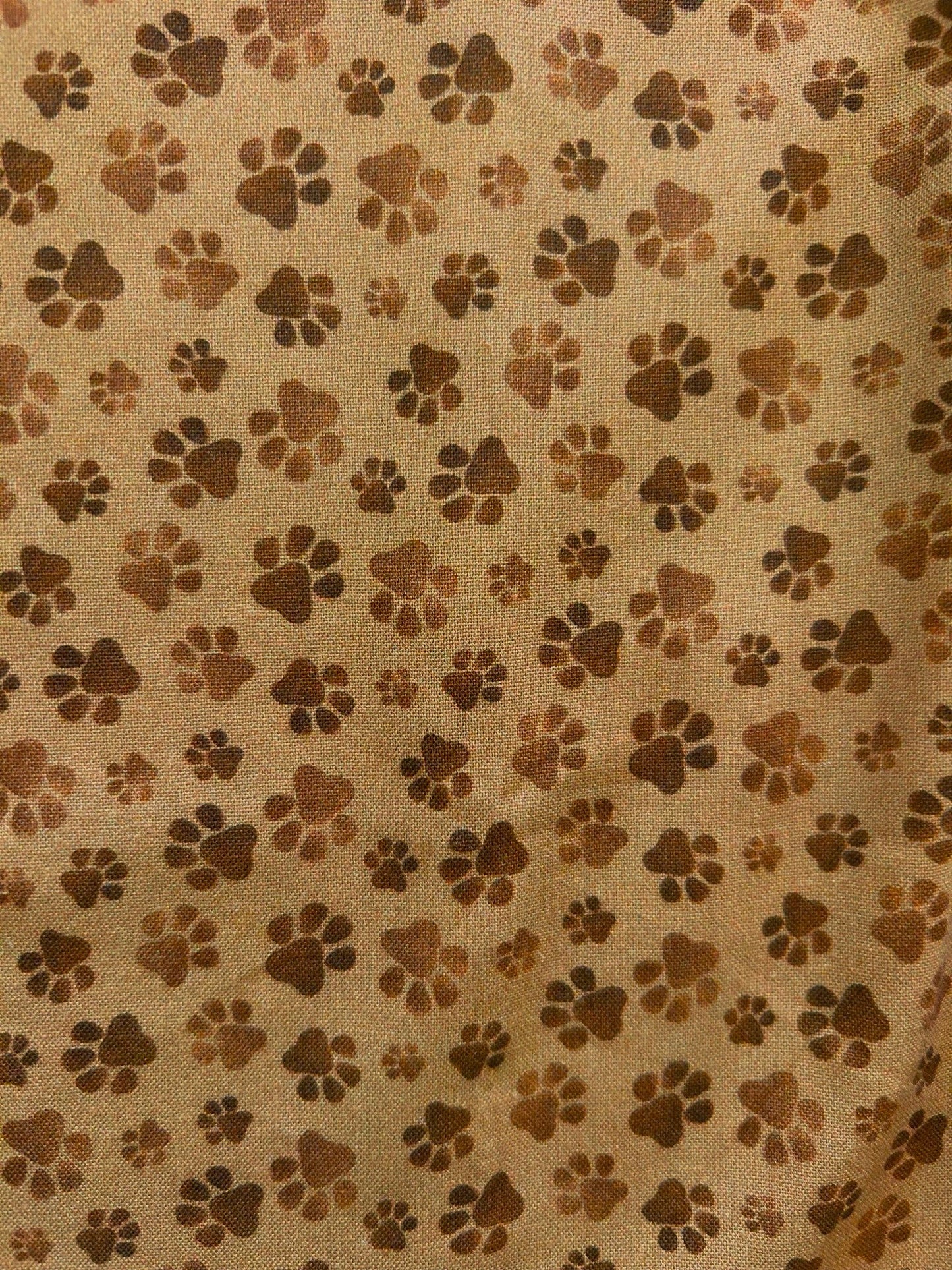 Paw Print Bow Top — Soul Flow Apparel