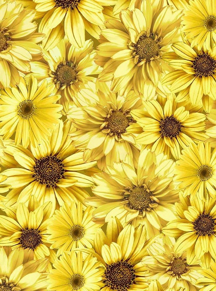 Sunflower Collared Dress — Soul Flow Apparel