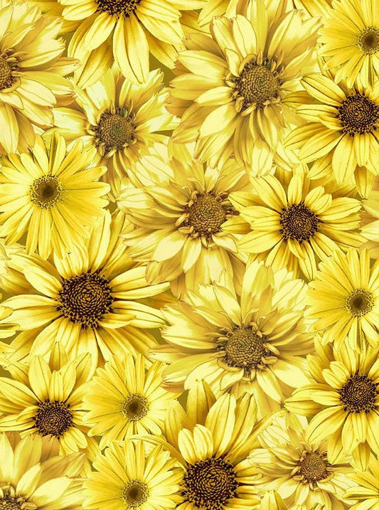 Sunflower Collared Dress — Soul Flow Apparel