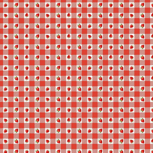 Strawberry Gingham Collared Dress — Soul Flow Apparel