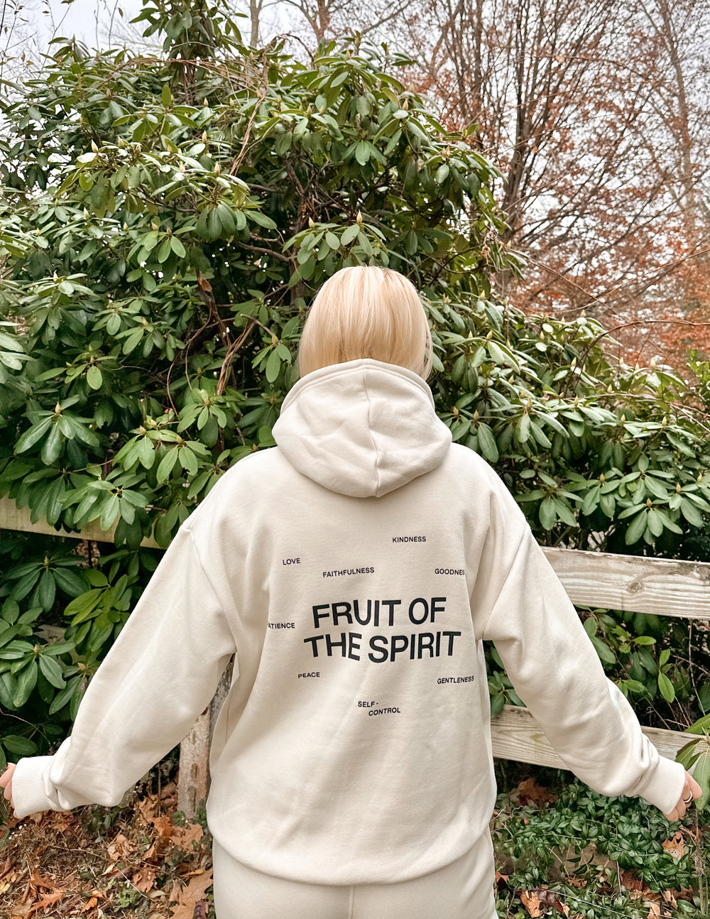 Fruit of the Spirit Unisex Hoodie – Christian Hoodie