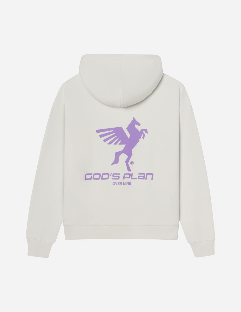 God's Plan Racing Unisex Hoodie – Christian Hoodie