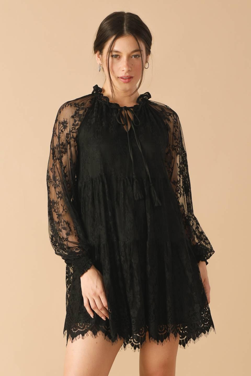 This & That Black Woven Lace Mini Dress, view 3 — Soul Flow Apparel