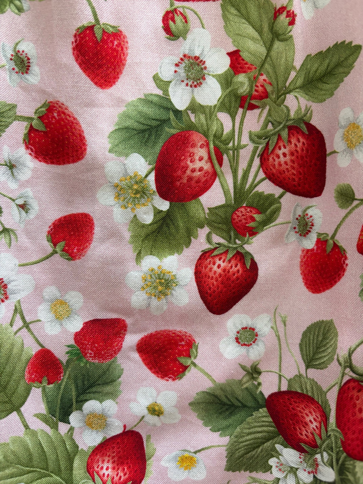 Strawberry Collared Dress - Plus Sizes Only, view 2673 — Soul Flow Apparel