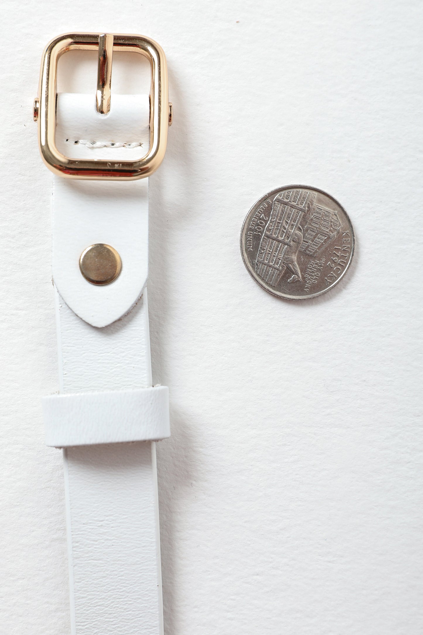 Versatile Skinny Leather Belt – Perfect for Any Outfit 💫 Leto Collection