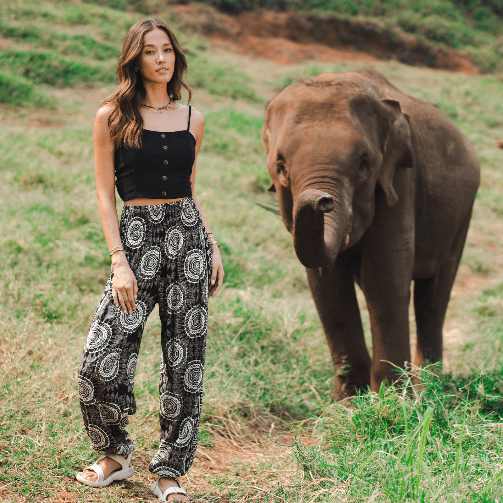 Bondi Harem Pants — Soul Flow Apparel